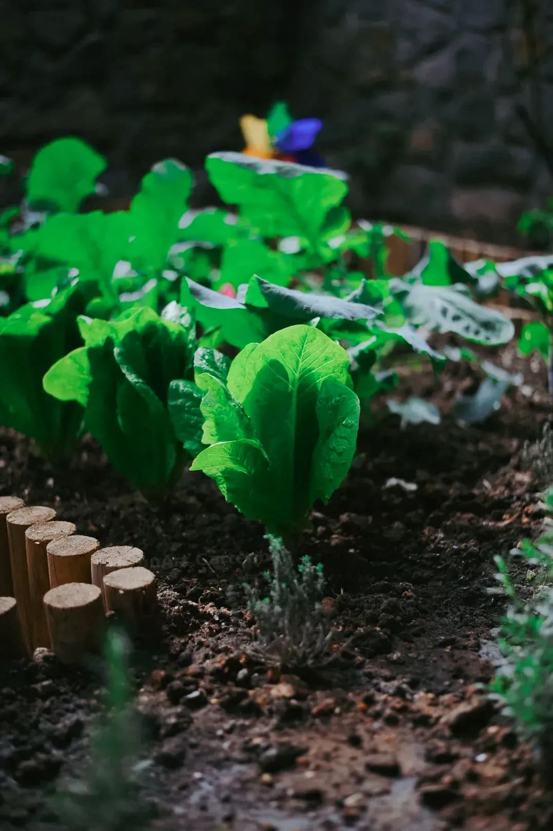 GrünArt Gartenbau 7